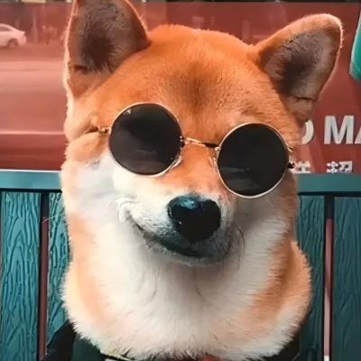 河南张同学