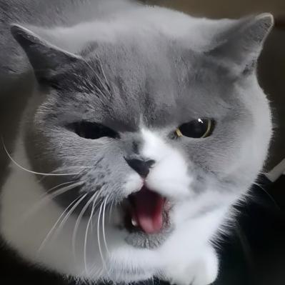 湖南黄同学