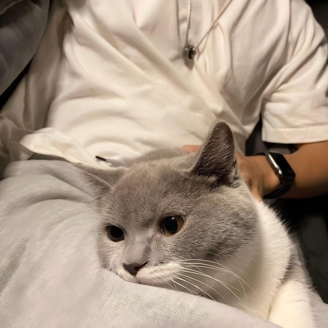 广东黎同学