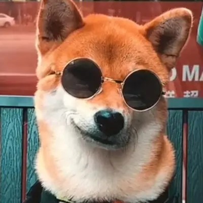 张**