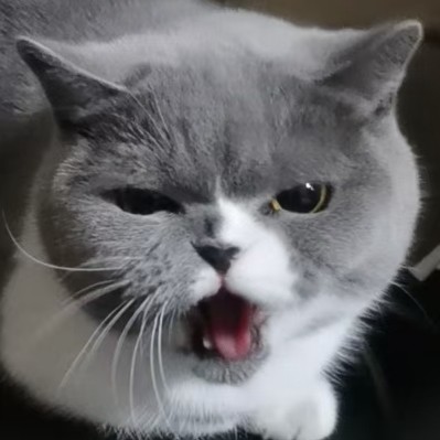 黄**